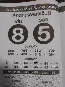 Read more about the article หวยเสือตกถังพลังเงินดี 16/8/66