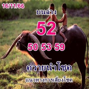 Read more about the article หวยควายนำโชค 16/11/66 เจาะเลขเด็ดควายนำโชคงวดนี้