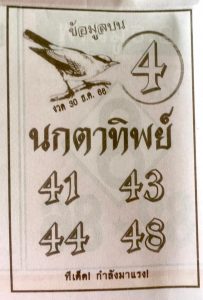 Read more about the article หวยนกตาทิพย์ 30/12/66