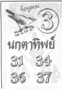 Read more about the article หวยนกตาทิพย์ 16/7/67