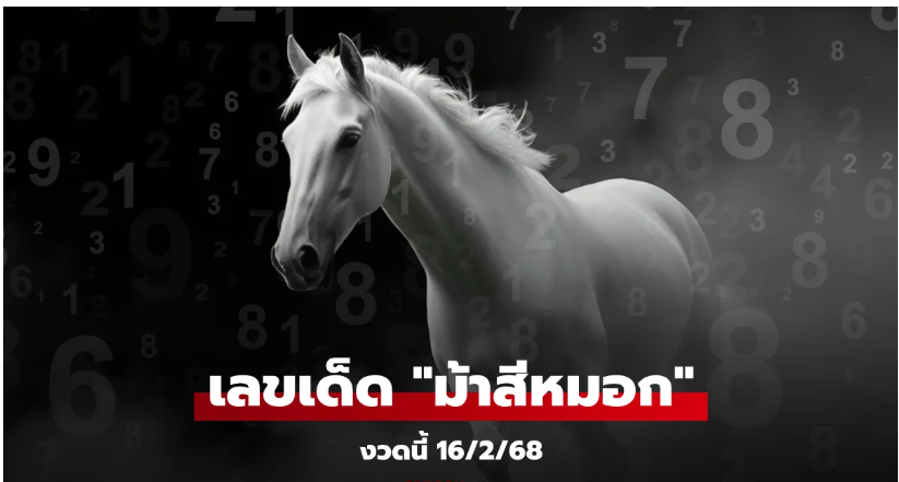 Read more about the article เลขเด็ดม้าสีหมอก หวยงวด 16/2/68 แนวทางเลขนำโชค งวดนี้ 1 กับ 8 มาแรง